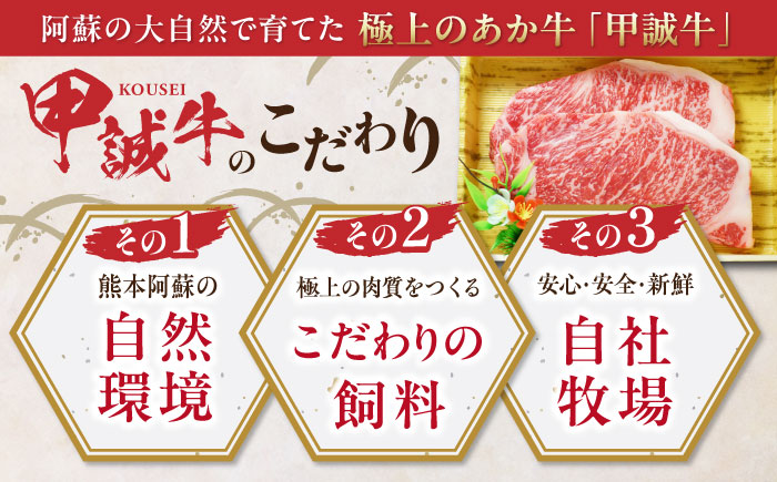 【全3回定期便】熊本県産 あか牛 サーロインステーキセット 計400g ( 200g × 2枚 ) 冷凍 専用タレ付き あか牛のたれ付き 熊本和牛【有限会社 三協畜産】[YCG062] 90000 9