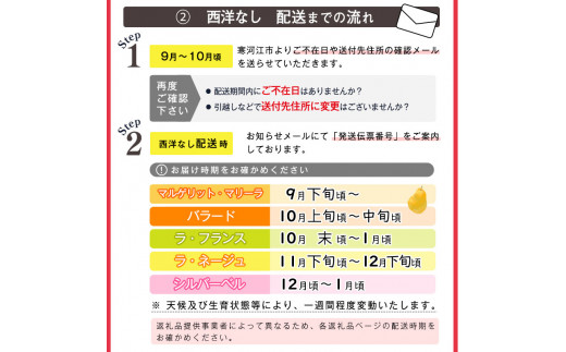 【先行予約】令和7年産 特秀品 「ラ・フランス」 5kg 《GI認証》 化粧箱入り サイズおまかせ 山形産 2025年産 【2025年11月中旬頃から12月末頃発送予定】　018-B-AF018 5k