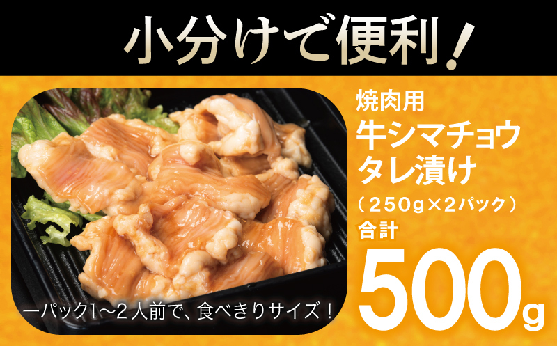 牛シマチョウ 焼肉用 タレ漬け 500g【味付け 小分け 250g×2P 焼くだけ 簡単調理 BBQ 牛肉 ホルモン お試し】 G3449_イメージ5