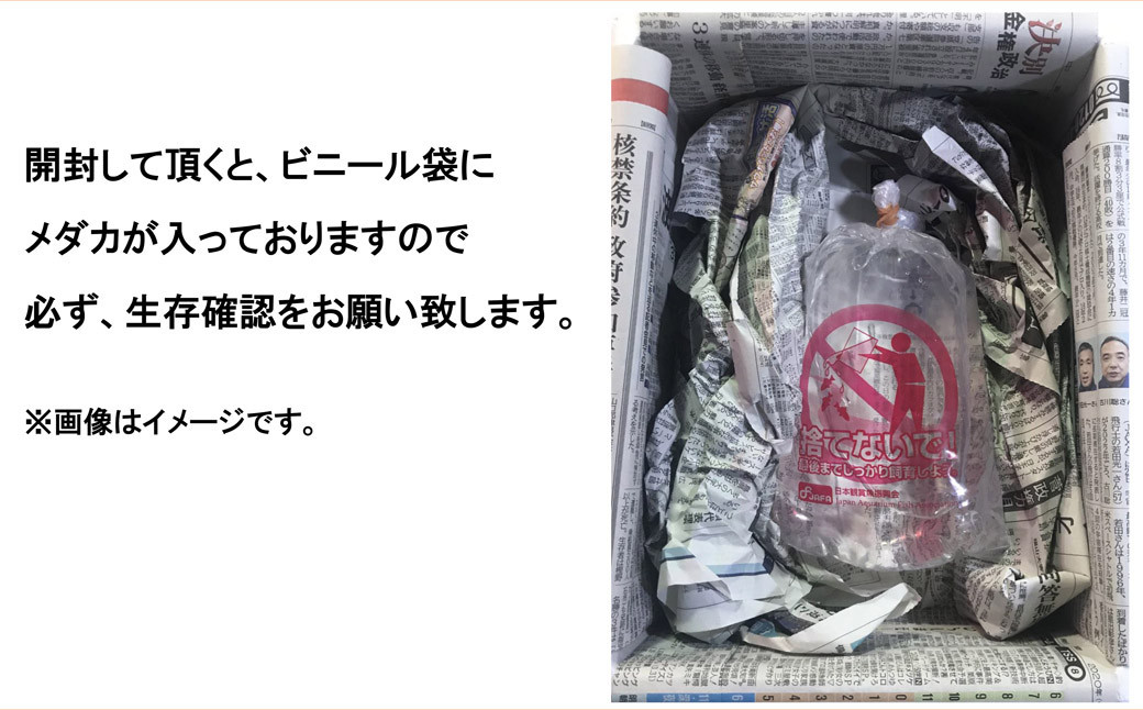 画像はイメージです。