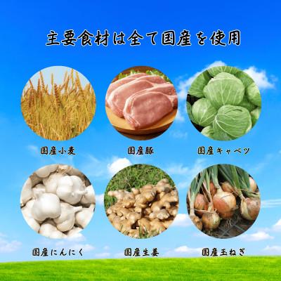 ふるさと納税 草津市 手包みにんにく餃子　12個入り |  | 03