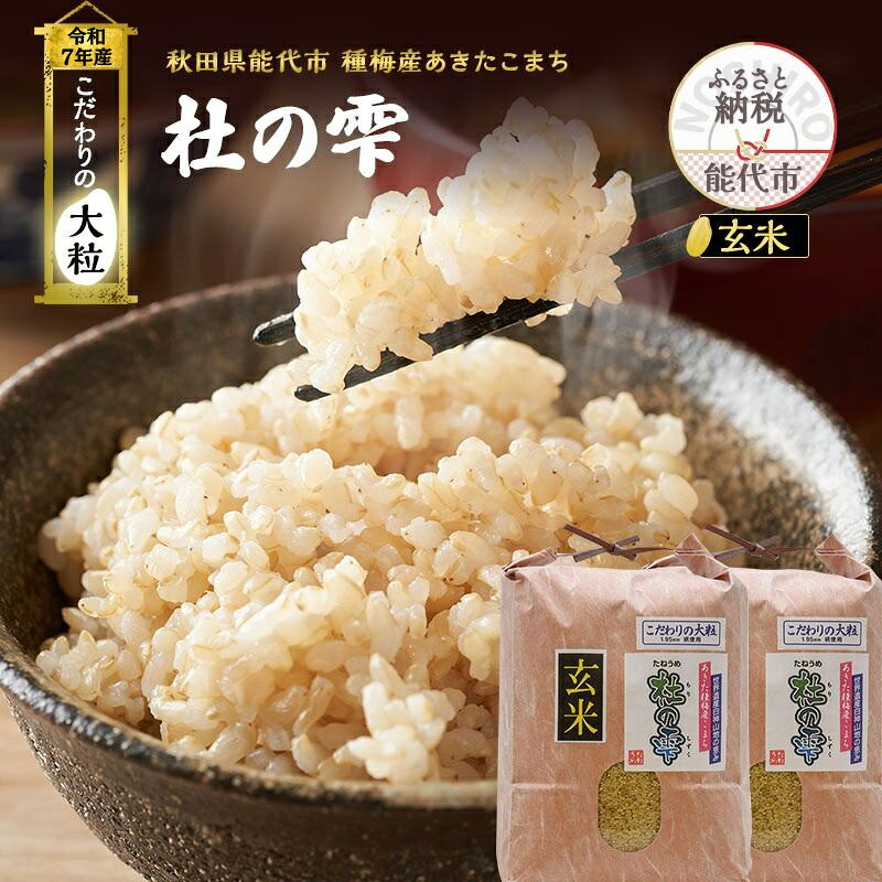【ふるさと納税】新米 米 お米 《定期便3ヶ月》【玄米】秋田県産 あきたこまち あきた種梅産こまち 杜の雫 こだわりの大粒 20kg（10kg×2袋）×3回 合計60kg　お届け：2025年10月中旬より順次発送予定です。