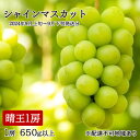 【ふるさと納税】ぶどう 2024年 先行予約 シャイン マスカット 晴王 1房 650g以上 2024年9月上旬～9月下旬発送分 ブドウ 葡萄 岡山県 赤磐市産 国産 フルーツ 果物 ギフト 赤坂青空市　種無し 国産　お届け：2024年9月上旬～2024年9月下旬