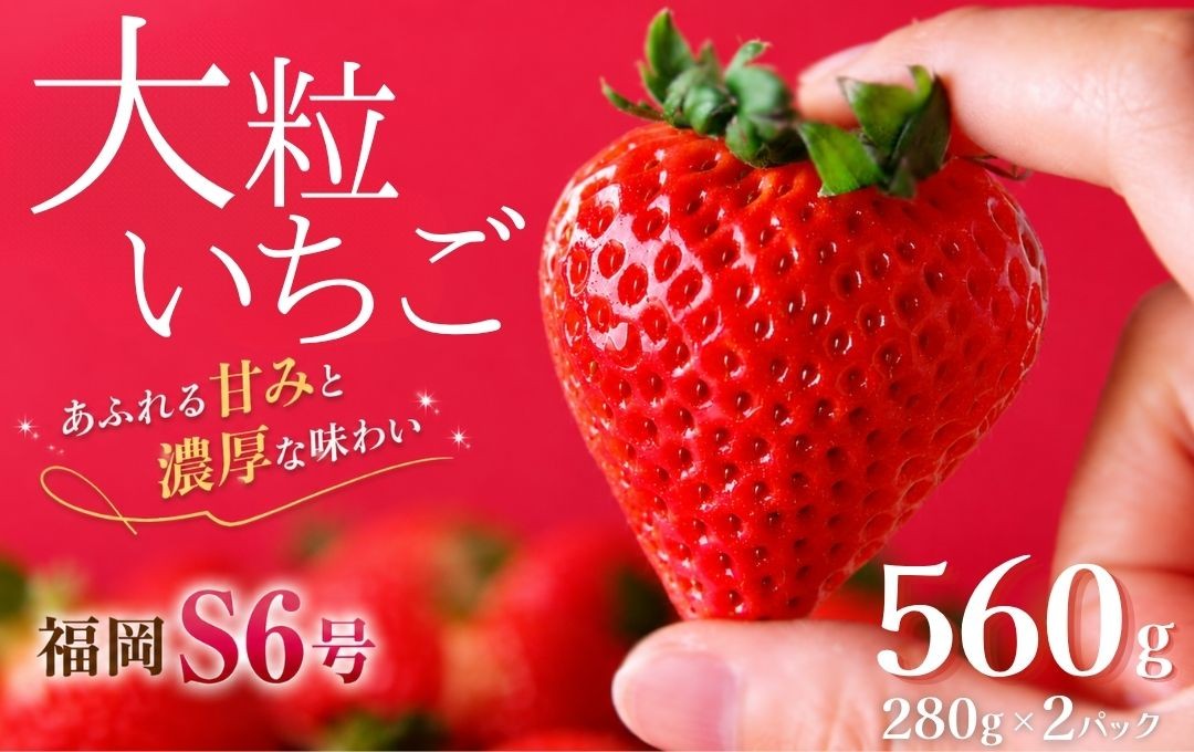 
                  【先行予約＿2027年出荷分】いちご 福岡S6号 DXパック 2パック こだわり いちご イチゴ strawberry 苺 新鮮 朝摘み 朝採り 産直 産地直送 安心安全 ichigo itigo いちご 苺 果物 フルーツ くだもの ギフト プレゼント 贈物 贈答 ケーキ ふるさと納税 ふるさと納税苺 いちご 静岡県 南伊豆町 みなみのいちご園　<AA-24>
                