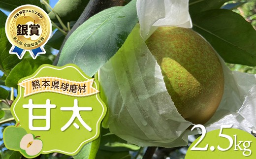 FKP9-718 甘太 2.5kg（4～7玉） 梨 果物 フルーツ 特産品