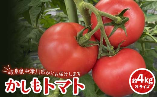 食べて実感 濃い味かしもトマト約４Kg 東美濃農業協同組合【期間限定　選果場直送！】 F4N-1265