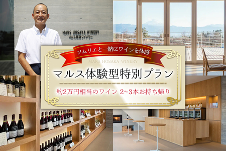 【ふるなび限定】マルス穂坂ワイナリー 体験チケット 1名様分 あなたにピッタリなワインをソムリエと一緒に見つけませんか。 [本坊酒造株式会社マルス穂坂ワイナリー 山梨県 韮崎市 20745037] ワイン わいん wine 韮崎 体験 チケット 旅行 体験型 ツアー