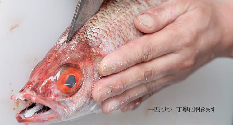 のどぐろ干物２～３枚（20cm 計300g前後）のどぐろ本来の旨味に出会う渾身の干物 河野乾魚店 魚介類 魚貝類 のどぐろ 干物 干もの 一夜干し 人気 グルメ お取り寄せ 【963】