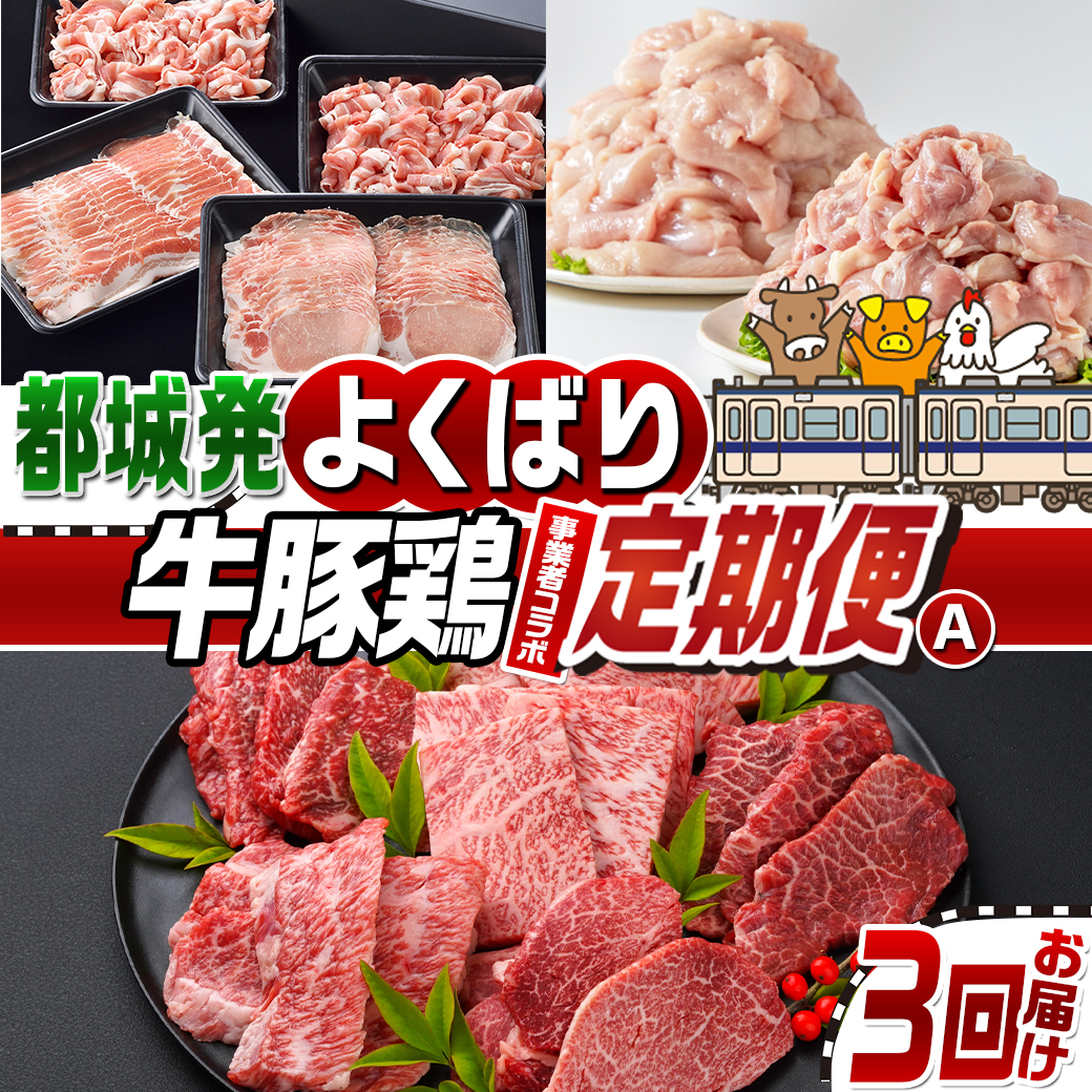 【事業者コラボ定期便】牛豚鶏よくばり3回定期便A