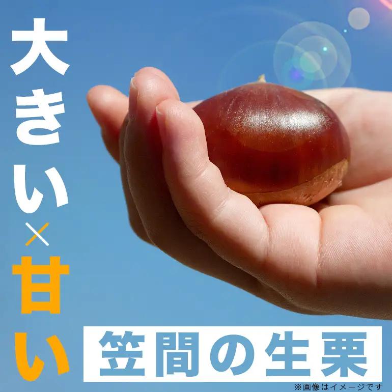 熟成生栗 2kg 栗 2L JV-004
