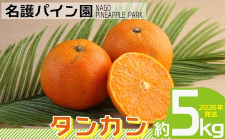 タンカン 【2026年発送】タンカン 約5kg 名護パイン園