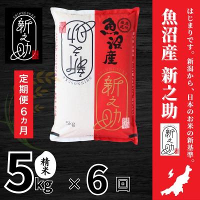 ふるさと納税 十日町市 【毎月定期便】【定期便6回(毎月発送)】新之助 精米 5kg全6回