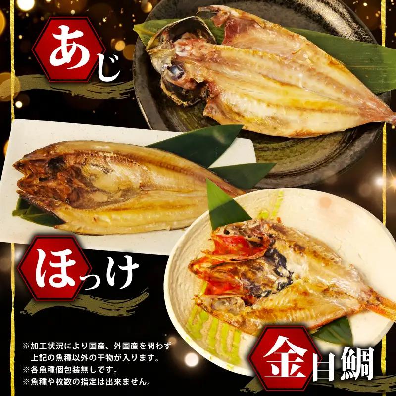 【2026年8月発送】 訳あり干物 約4kg 干物