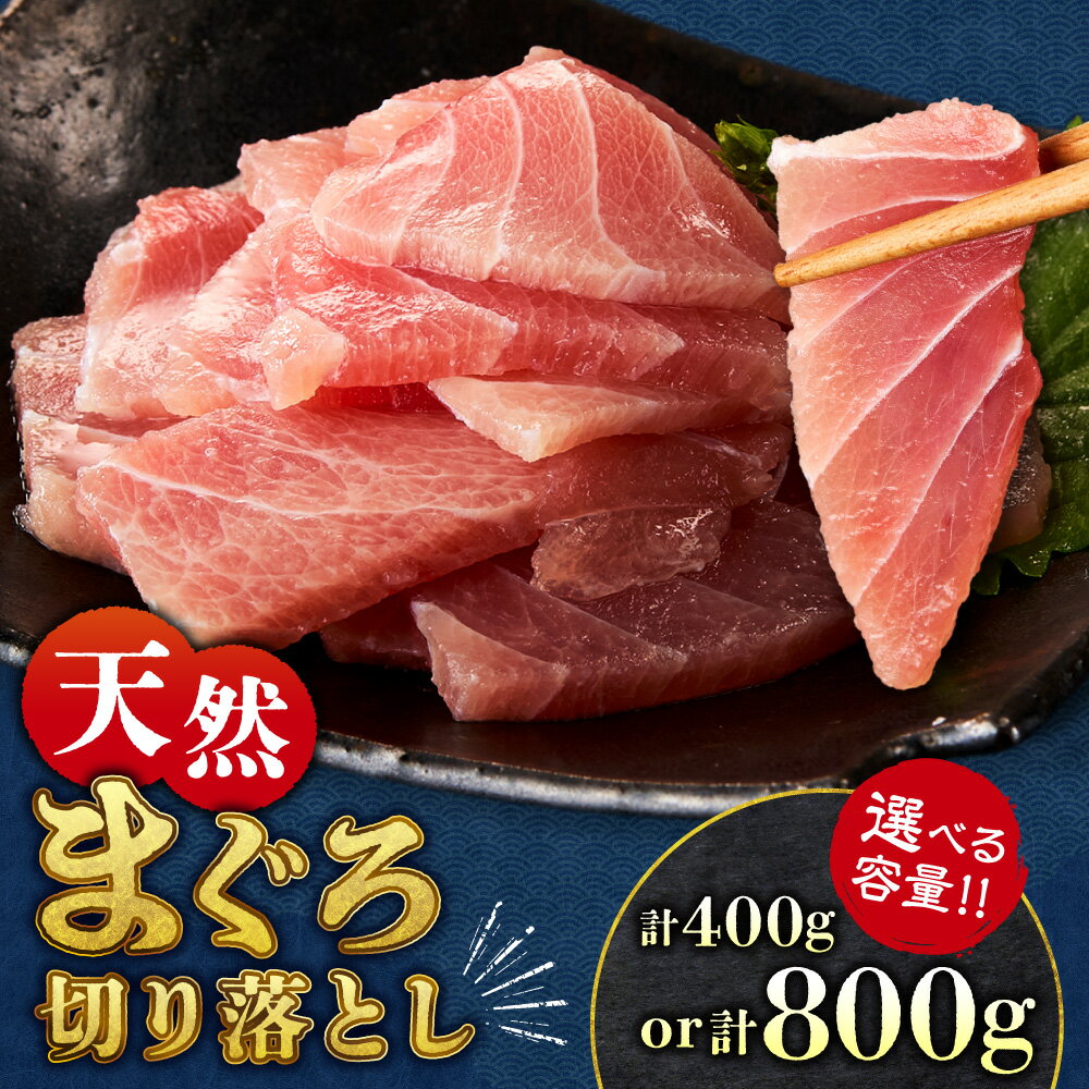 【ふるさと納税】 天然 まぐろ 切り落とし 小分け 【 選べる 容量 】 計400g 計800g 腹身 トロ 中トロ 大トロ 不揃い スライス 脂身 各100g 食べきり パック 切り身 刺身 マグロ メバチマグロ おつまみ 魚 魚介 冷凍 海鮮 お取り寄せ 北海道 札幌市