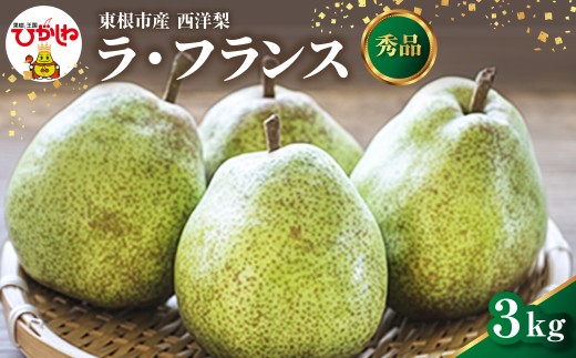 【2026年産】 西洋梨 ラフランス 3kg 山形県 東根市 安達農園提供 hi037-017-r8 フルーツ 果物 くだもの クダモノ ラ・フランス 洋なし 洋ナシ 特産品 グルメ 旬 東北