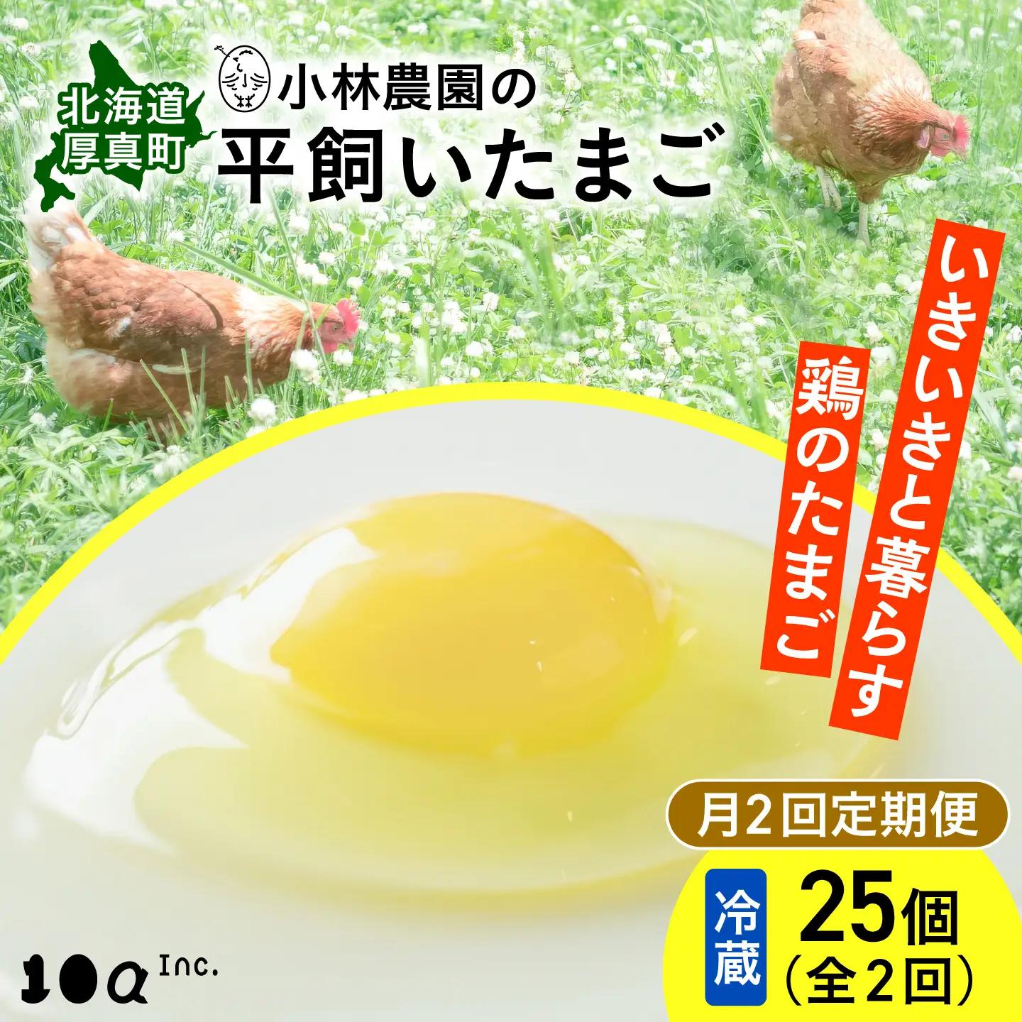 【月2回 1ヵ月定期便】平飼い有精卵 25個 計50個 冷蔵便  [AXAN024]