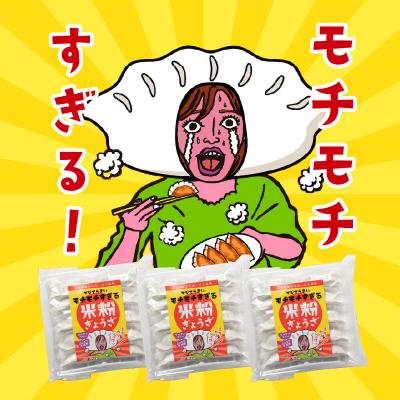 ふるさと納税 大分市 モチモチすぎるニラ子の米粉ぎょうざ 大分県産豚肉・にら100%使用 10個入り3パック_A02037 |  | 01