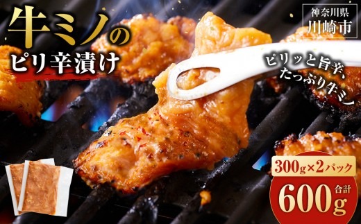 牛ミノ ピリ辛漬け 600g ( 300g × 2 ) ビールに合う お酒のお供 焼肉 おすすめ 小分け 使いやすい 焼くだけ 焼き肉 バーベキュー 味噌たれ漬け 冷凍 配送時期が選べる 個包装 冷凍保存 アウトドア キャンプ BBQ おすすめ 人気