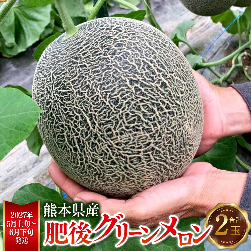 【ふるさと納税】熊本県産 肥後グリーンメロン 2玉 約4kg 肥後グリーン 甘い 果物 フルーツ メロン 肥後 くだもの 旬 お取り寄せ 常温 九州 熊本県 送料無料【2027年5月上旬から6月下旬発送予定】