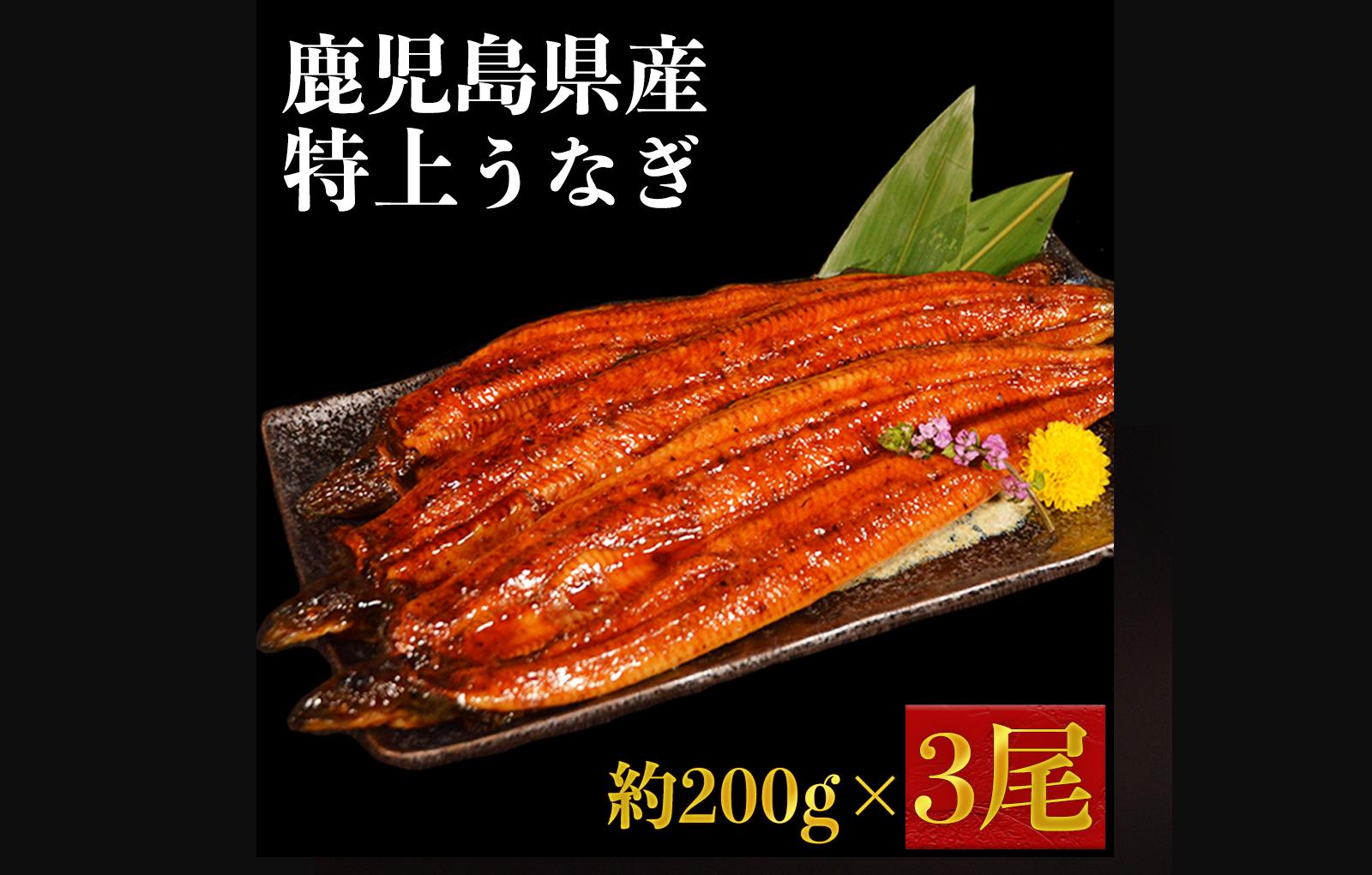 
                  大隅産 特上 うなぎ 約600g (約200g×3尾) ウナギ 鰻  蒲焼き 丑の日 うなぎ 蒲焼 3尾 訳あり 特上 タレ付き 国産 鹿児島産 熊本県 水上村
                