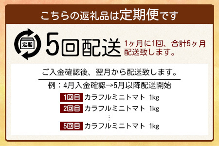 【5回定期便】【先行受付】2027年1月より順次発送 カラフルミニトマト6種 1kg ミニトマト プチトマト 定期便 農家直送 たにぐちファーム Ricotomato～とりこになるトマト～ G-24