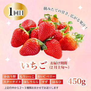 【定期便1年間】豪華フルーツお得パック いちご450g, さくらんぼ500g, 梨2kg, ぶどう2kg, りんご2kg 　詰め合わせ 定期便 1年間 採れたて 新鮮 産地直送 広島県三原市 0590