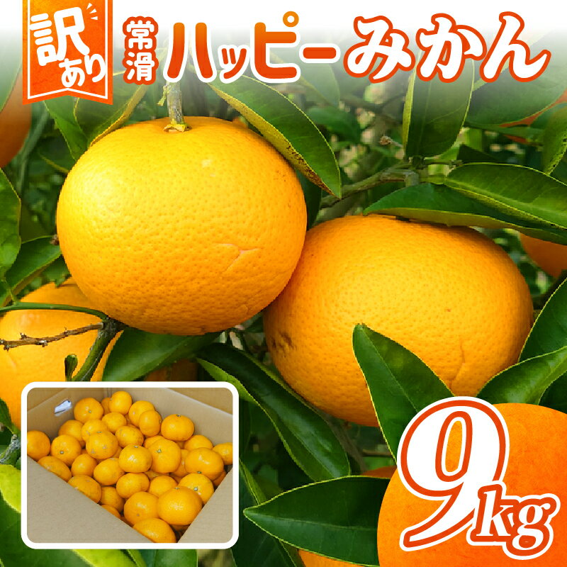 【ふるさと納税】【 訳あり 】＼数量限定／ 常滑ハッピーみかん 【1箱 9kg】 みかん 果物 季節のフルーツ 柑橘 お取り寄せ 【10月下旬～順次発送】送料無料