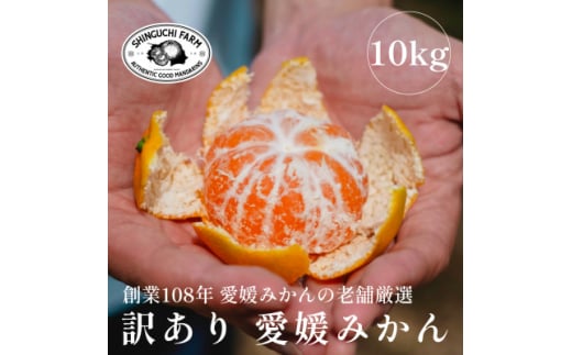 ＜創業108年＞愛媛みかんの老舗＜訳あり みかん10kg＞＜C70-38＞【1536341】