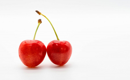 【定期便3回】旬のフルーツ　よくばり定期便　(2024年秋冬～2025年夏秋)  FZ23-676