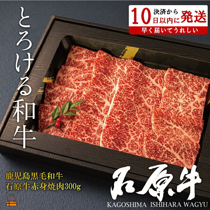 【ふるさと納税】世界が絶賛した“とろける和牛”幻の石原牛 赤身焼肉300g ( 鹿児島黒毛和牛 ブランド牛 牛肉 ビーフ こだわり プレミアム オメガ3脂肪酸 贈答 ギフト 徳之島 奄美 鹿児島 美味しい 赤身 脂身 ステーキ 焼肉 BBQ 世界基準 石原PRO 決済後10日以内発送 )