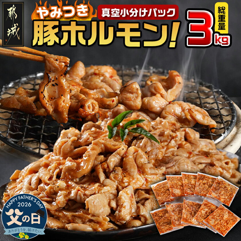 【ふるさと納税】【父の日】やみつき豚ホルモン！3kg！真空小分けパック！≪6月18日〜21日お届け≫ - 国産豚 300g×10P 真空 小分け 味付き 焼くだけ おつまみ 冷凍 父の日 ギフト プレゼント 贈答用 送料無料 LG8-3303-FG【宮崎県都城市は2年連続ふるさと納税日本一！】