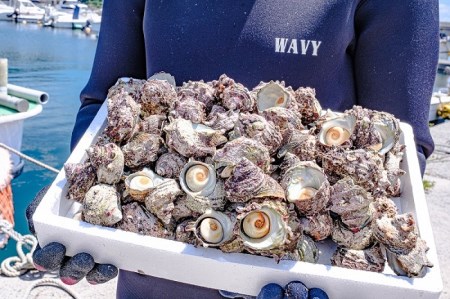 (10028)さざえうに サザエウニ さざえうにの瓶詰め 瓶詰め 栄螺 雲丹 5本セット 28g 刺身 味付 長門市