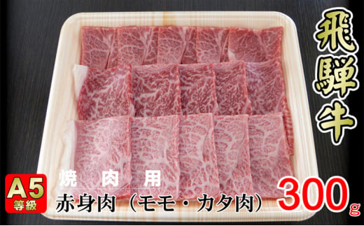 
[№5568-0321]牛肉 飛騨牛 焼き肉 セット 赤身 モモ 又は カタ 300g 黒毛和牛 A5 美味しい お肉 牛 肉 和牛 焼肉 BBQ バーベキュー 【岐阜県揖斐川町】
