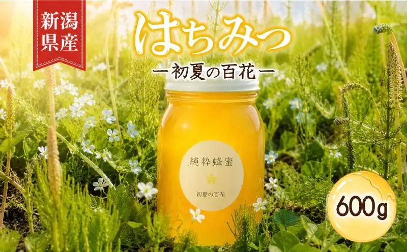 はちみつ 国産 600g 瓶 初夏の百花 セイヨウミツバチ 百花 蜂蜜 ハニー 純粋はちみつ 防災グッズ 保存 備蓄 防災食 非常食 保存食 弥八養蜂 新潟県 新発田市 yahachi002_01