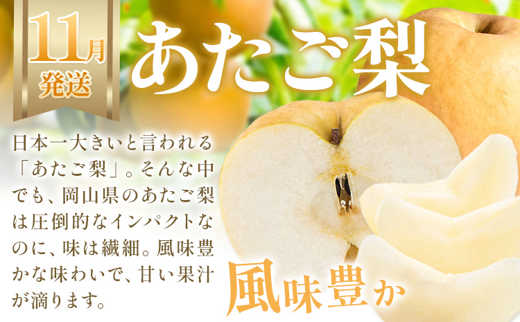 【2026年発送先行予約】ぶどう 桃 梨 3ヶ月 定期便 岡山 の 果物 3種 食べ比べ 計4.1kg 晴れの国おかやま館(漂流岡山)《2026年7月上旬-11月下旬頃出荷》岡山県 笠岡市 桃 もも 