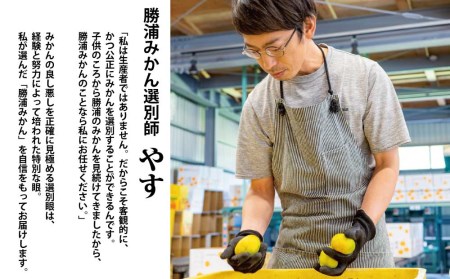 谷内青果 早生みかん 秀品 サイズ混合 10kg