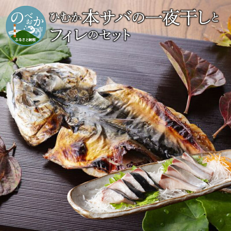 【ふるさと納税】【内閣総理大臣賞受賞】ひむか本サバの一夜干しとフィレのセット　真サバ　焼きサバ　宮崎県　延岡市