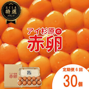 【卵 6回定期便】 赤卵 常温 30個 卵