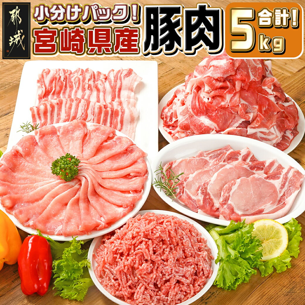 【ふるさと納税】宮崎県産豚肉5kgセット - 大容量 宮崎県産豚肉 ローススライス バラスライス ロースカツ用 切り落とし ミンチ 5キロ 国産 お肉 バラエティセット 詰め合わせセット いろいろ 5種類 冷凍 送料無料 AC-M601 【宮崎県都城市は2年連続ふるさと納税日本一！】
