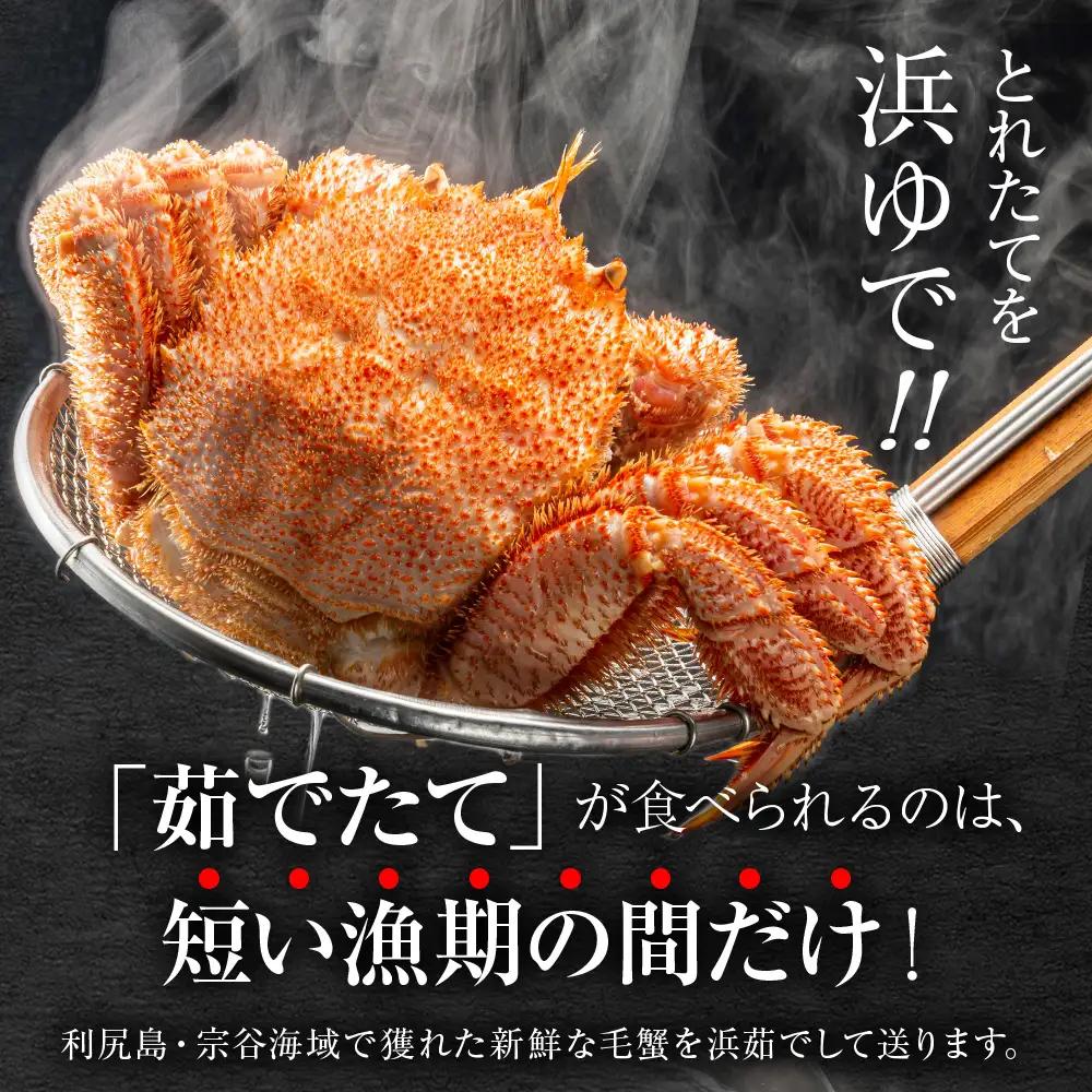 【2027年発送予約】チルドでお届け！ 浜茹で毛ガニ中サイズ４尾（不揃い合計約2kg） 〈福士水産〉