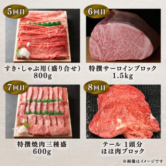 近江牛 特選 定期便 全12回 近江牛 12ヶ月 連続 食べつくしコース ( 1年分 お肉 黒毛和牛 牛肉 肉 すき焼き しゃぶしゃぶ 焼肉 ギフト 自宅用 高級 国産 ブランド牛 三大和牛 和牛