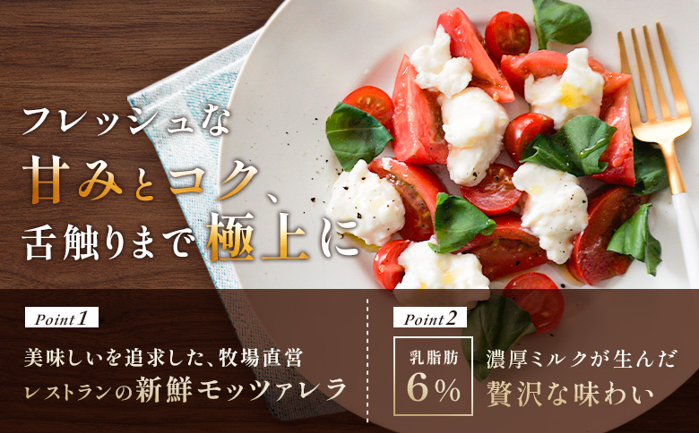 モッツァレラチーズ6個入セット(冷凍) | モッツアレラ イタリア 計900g 150g×6個 冷凍発送 ミルキー 新鮮 乳脂肪分6％ ミルク特有 なめらかな舌触り もちもち食感 フレッシュモッツァレ