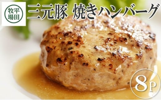 【TVで紹介！】平田牧場 日本の米育ち三元豚 焼きハンバーグ 8個入 冷凍便 ハンバーグ 豚肉 三元豚 おかず おつまみ お弁当 簡単調理 セット 小分け　SA0715