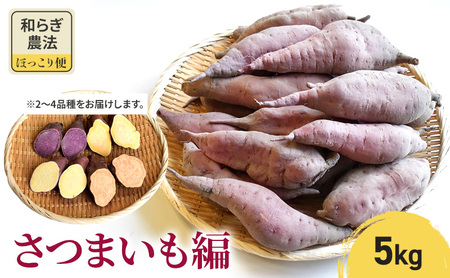 【2025年10月頃より順次発送】和らぎ農法　ほっこり便　さつまいも編　5kg 栗東市 / 株式会社　ワダケン [BIBM008]