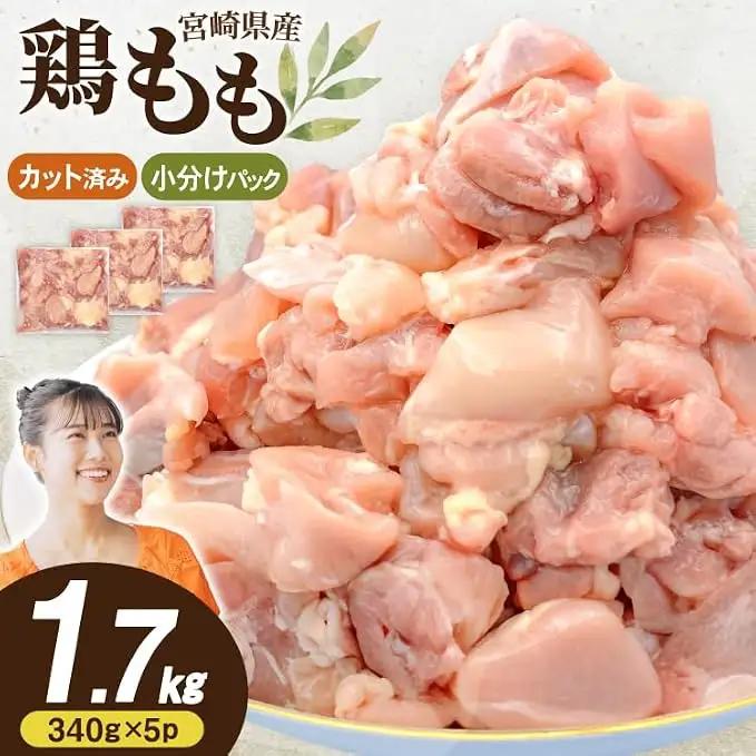 鶏肉 340g 5パック 計1.7kg とり肉 宮崎県産