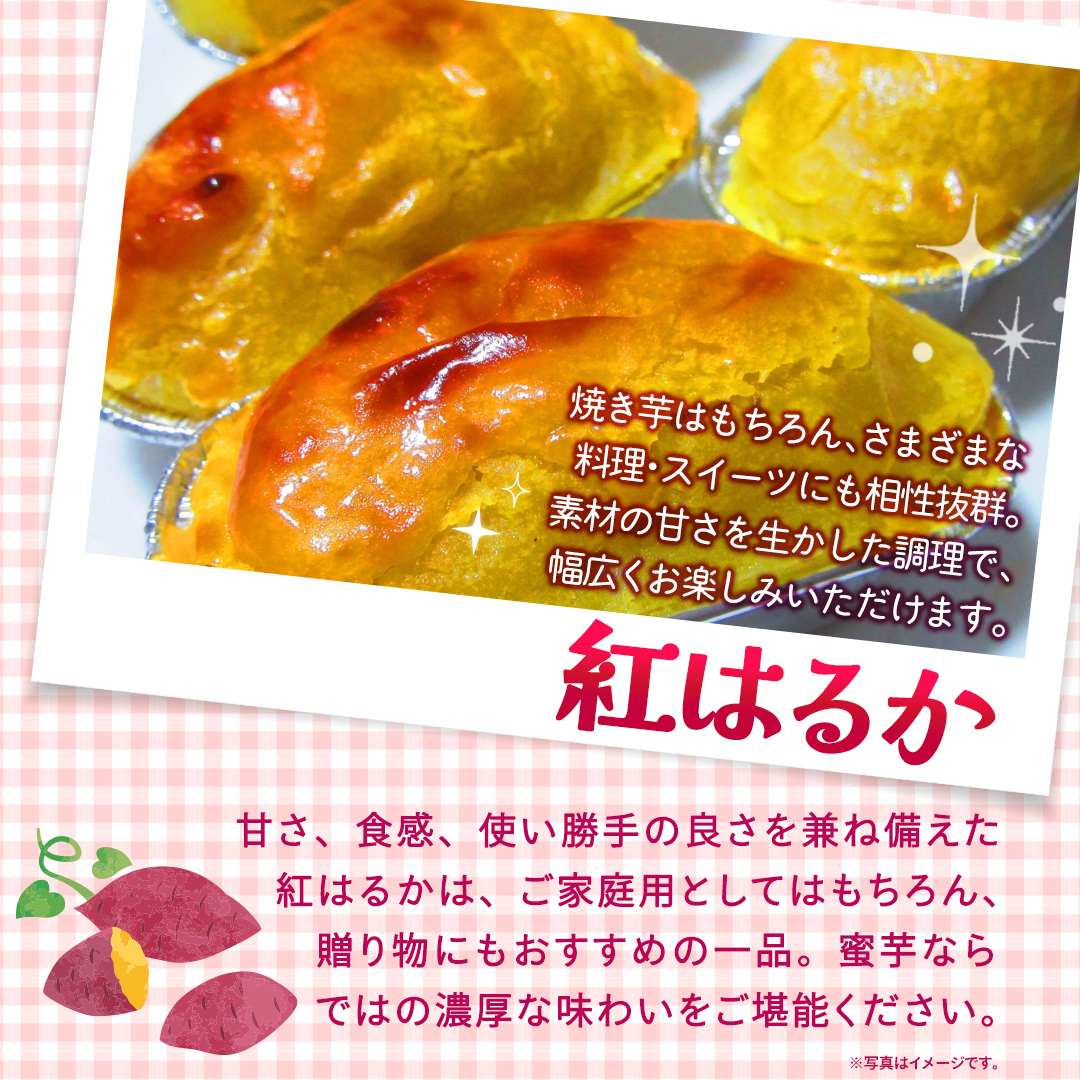 紅はるか 約 2.5kg （茨城県共通返礼品 [さつまいも]：行方市産） べにはるか さつまいも 生芋 芋 サツマイモ 甘い 焼き芋 スイートポテト ねっとり 茨城県産 お取り寄せ 野菜 根菜 いも 
