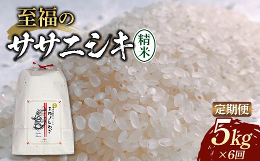 【令和8年産米先行予約】（全6回定期便）至福のササニシキ 精米 5kg 米 お米 おこめ 山形県 新庄市 F3S-2850