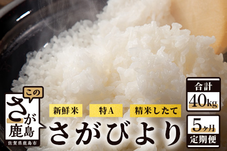 【新鮮米】佐賀県鹿島市産さがびより 白米8kg定期便（５か月お届け） I-24