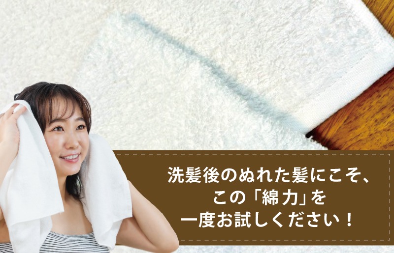 010B1372 【スピード発送】高吸水 フェイスタオル 10枚セット【これぞ綿力 泉州タオル 国産 吸水 普段使い シンプル 日用品 家族 ファミリー】