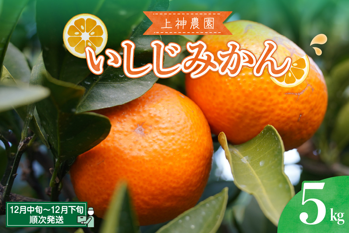 
                  【先行受付】 【2026年12月中旬～発送開始】 上神農園のいしじみかん 約5kg 上神農園 いしじみかん いしじ みかん 希少 柑橘 かんきつ 広島県呉市 広島県 呉市 広島 呉 ku011-015-26
                